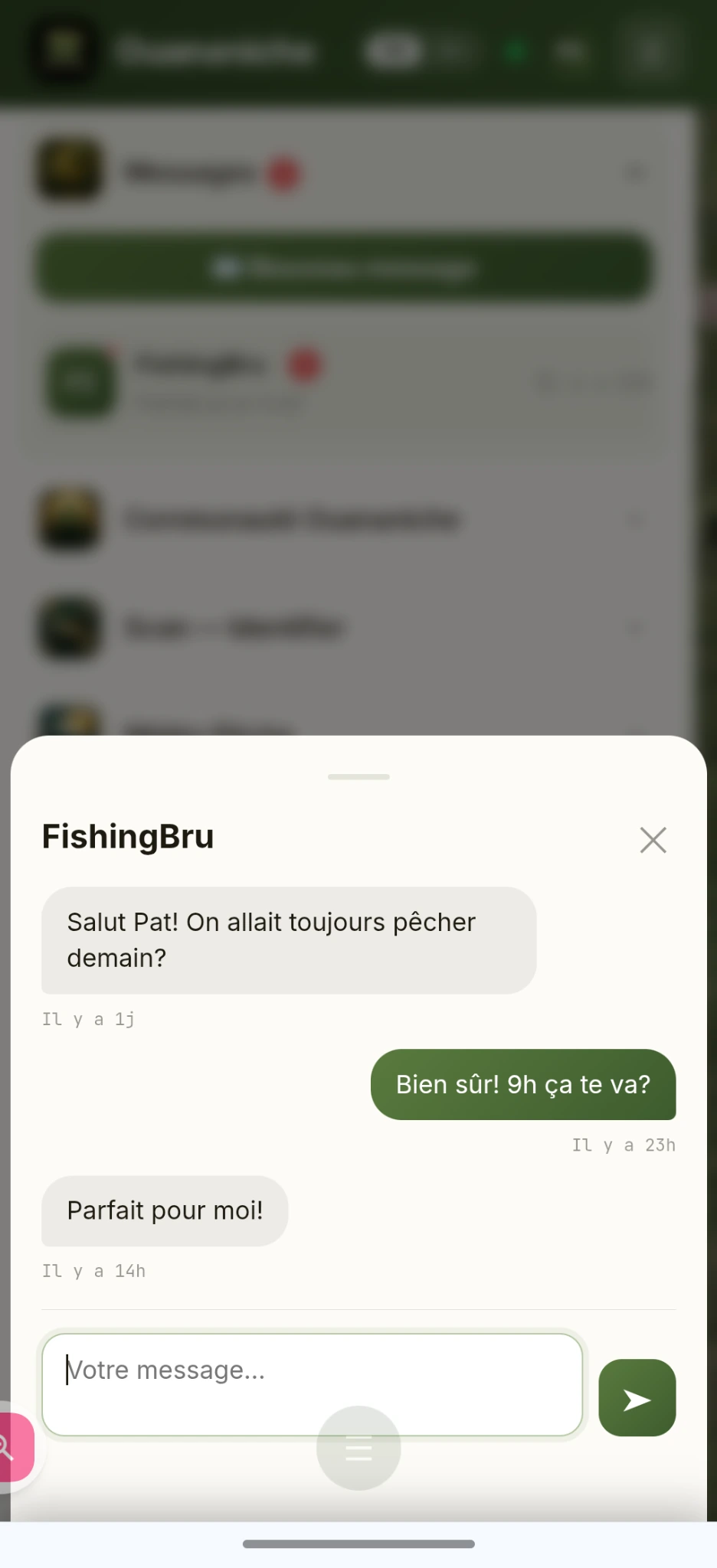 Capture d’écran des messages privés dans Ouananiche